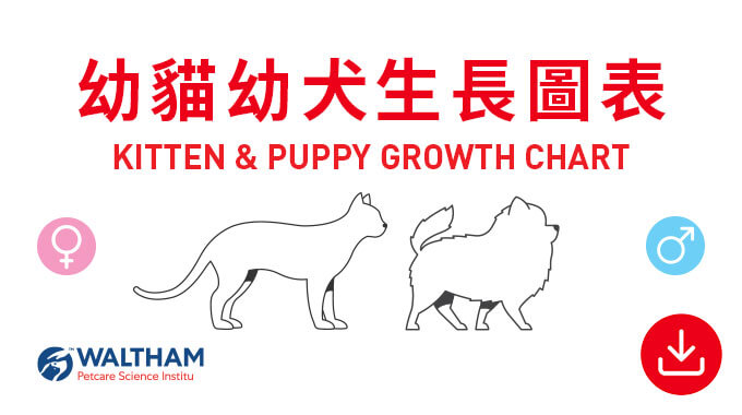 幼貓幼犬生長圖表。