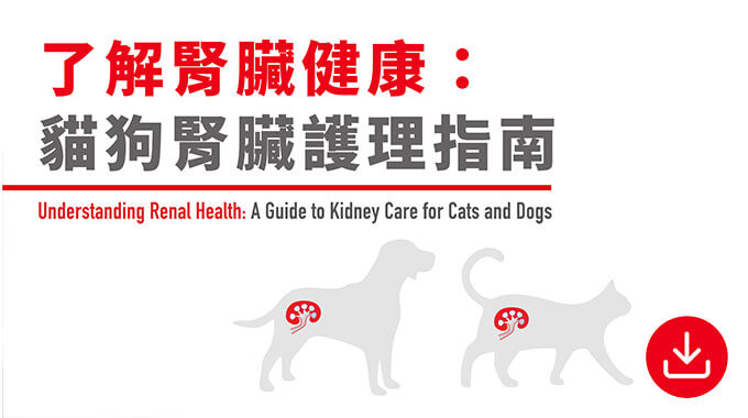 了解腎臟健康：貓狗腎臟護理指南。