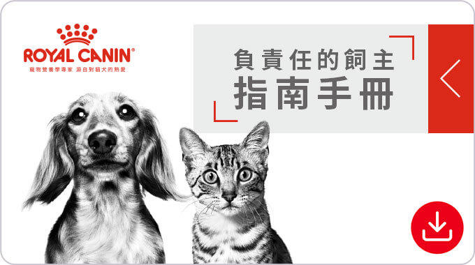 負責任的飼主指南手冊。