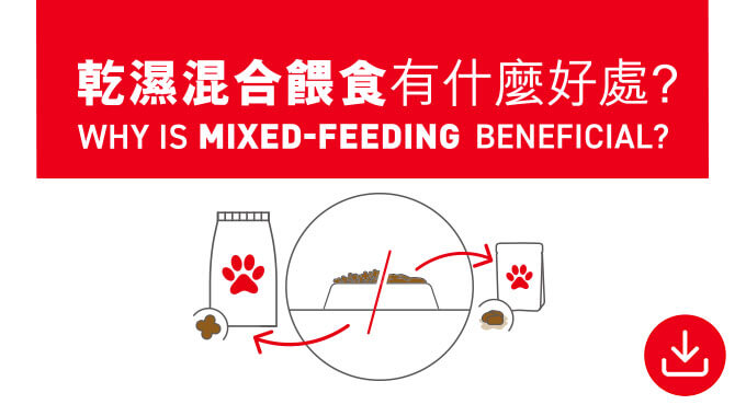 乾溼混合餵食有什麼好處？