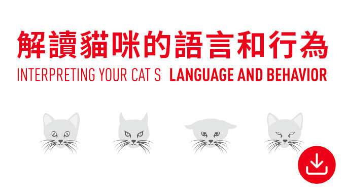 解讀貓咪的語言及行為。