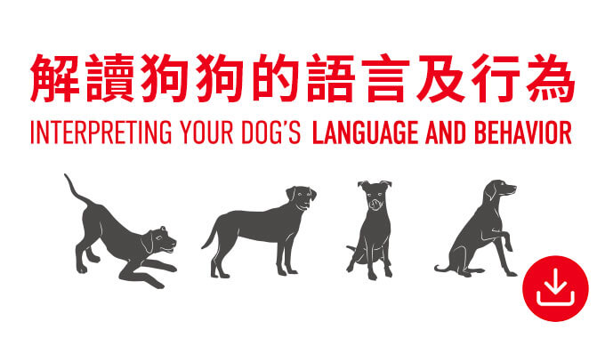 解讀狗狗的語言及行為。
