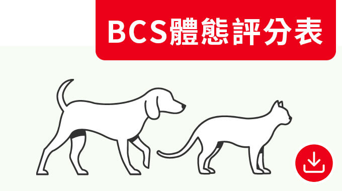 BCS體態評分表。