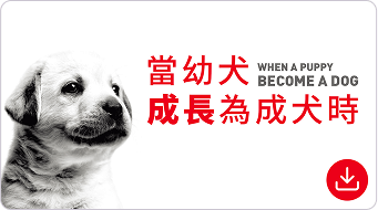 當幼犬成為成犬時。