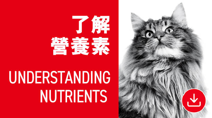 01.了解營養素Understanding-nutrients