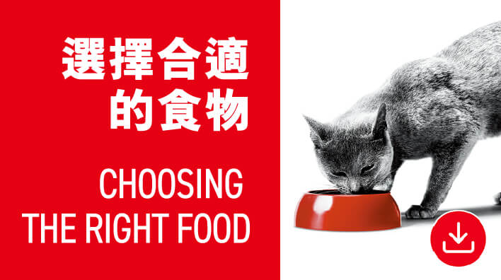 02.選擇合適的食物Choosing-the-right-food