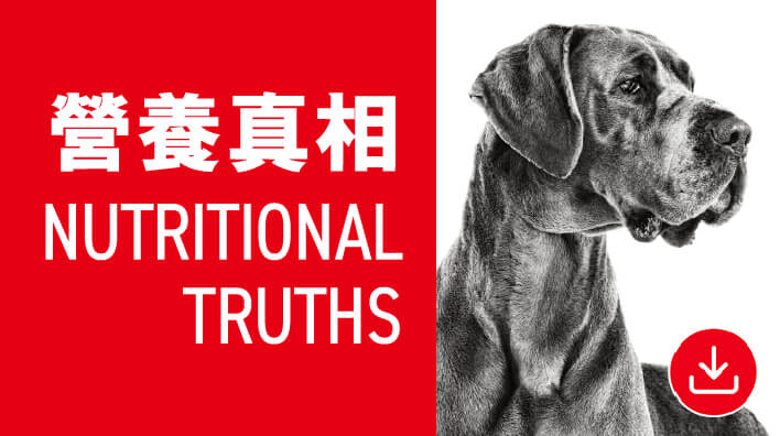 03.營養真相Nutritional-truths-1