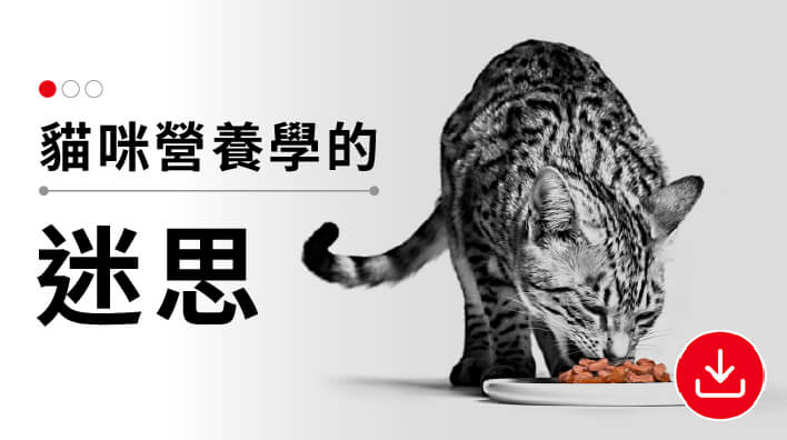 05.貓咪營養學的迷思
